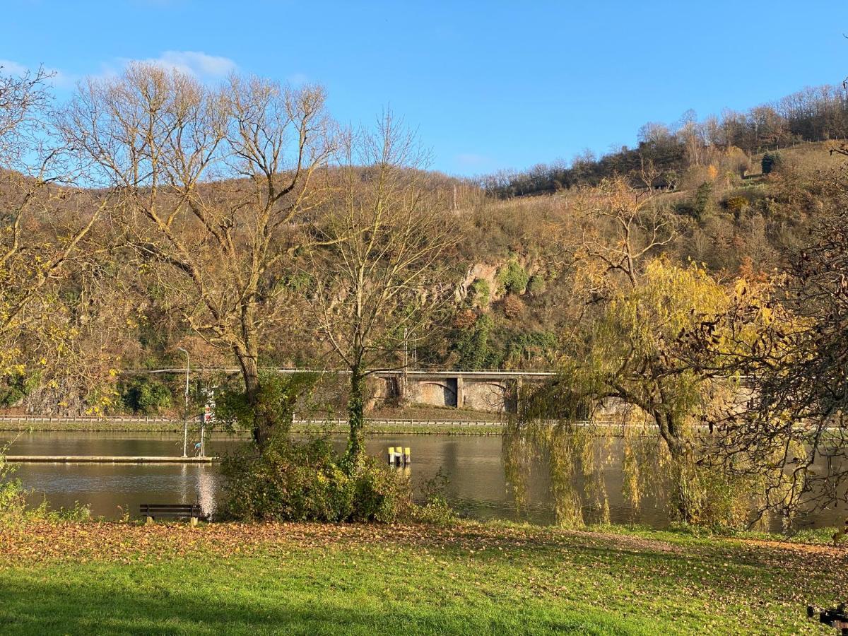 Direkter Moselblick 126M² Grosser Altbau Und Terrasse Sankt Aldegund Buitenkant foto